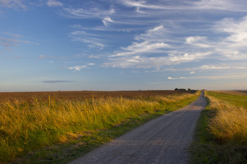 Big Sky Wiltshire