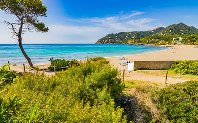 Beautiful coast beach bay of Canyamel Majorca Spain