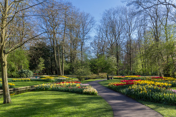 Keukenhof tulipe garden in Netherlands during spring April 2016