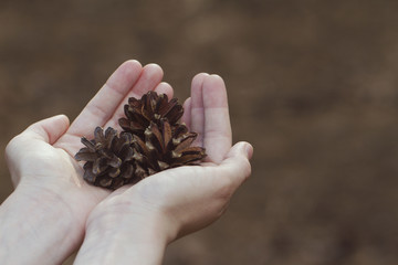Cones in female hands