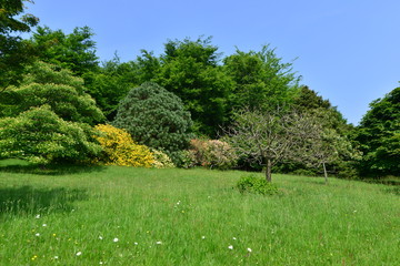 English country estate in Surrey in England.
