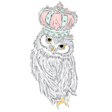 Owl in the crown. Vector illustration. King. Print for clothes, cards or posters.