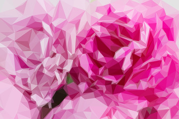 pink peonies background