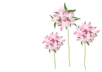 Naklejka na ściany i meble bouquet of pink flowers isolated flowers for object or background. watercolor brush design not image trace .vector illustration