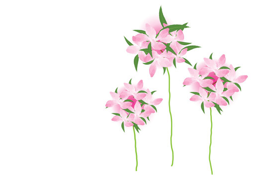 bouquet of pink flowers  isolated flowers for object or background. watercolor brush design not image trace .vector illustration