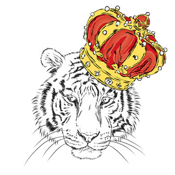 Tiger in the crown. Vector illustration. King. Print for clothes, cards or posters.