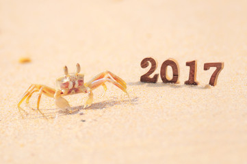Wood number 2017 on beach background with ghost crab idea, happy new year concept