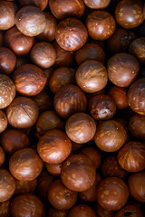 Macadamia nut