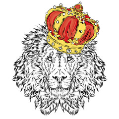 Funny lion wearing a crown. Vector . Print for cards, posters or odzhdy.