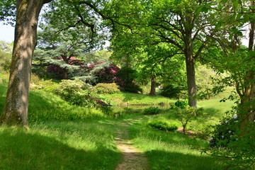 English country estate in Surrey in England.
