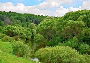 Riverside Luzha River in the Kaluga region