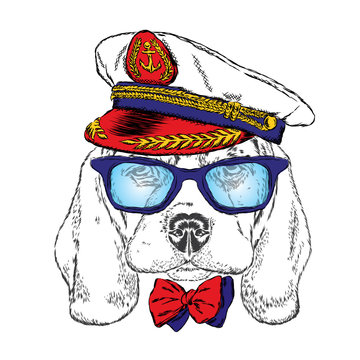 Cute dog in the captain's cap . Sailor. Vector illustration. Design element for printed products or prints on clothes and accessories .