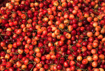 Berries sweet cherries. Background