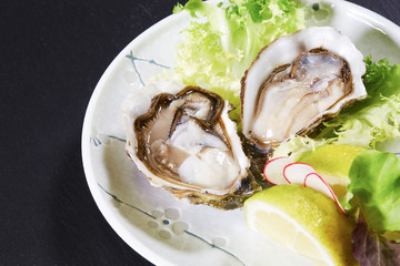 Oyster