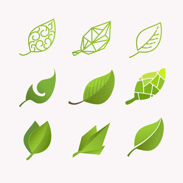 Set vector images of leaves
