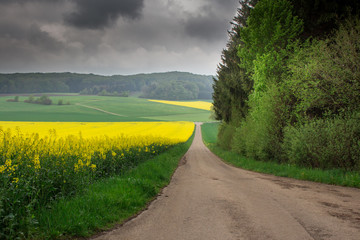 Germany, Stuttgart, Power pylon and wind wheels in yellow rape field