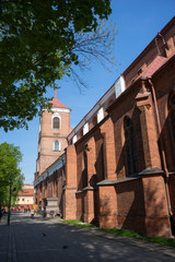 Fototapeta na wymiar Kaunas Cathedral Basilica