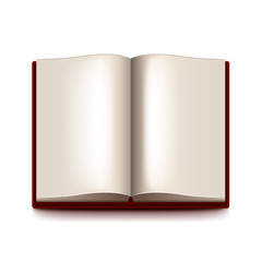 Opened book isolated on white vector