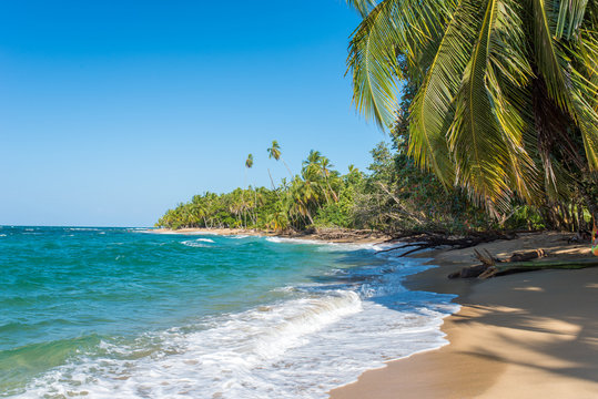 Punta Uva beach in Costa Rica, wild and beautiful caribbean coast