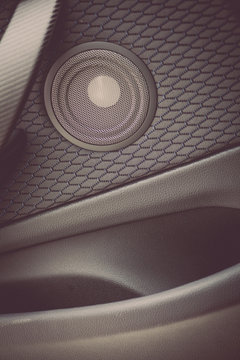 Car speaker detail