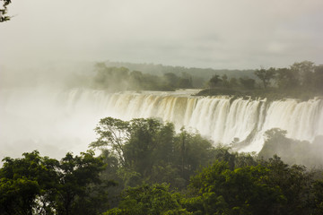 iguazu falls with green forest and stones surrounding