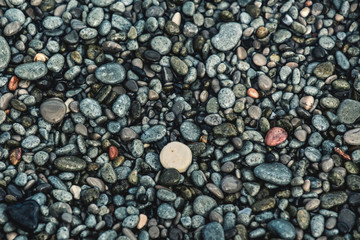 Smooth small pebbles.