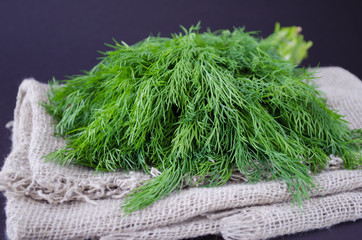 Bunch of fresh dill on black background