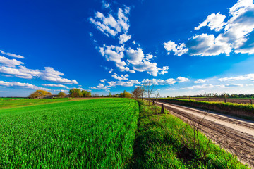 Green Field and Beautiful Sunset