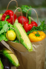 autumn fresh vegetables 