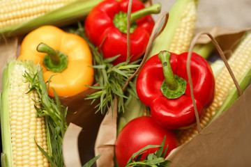 autumn fresh vegetables 