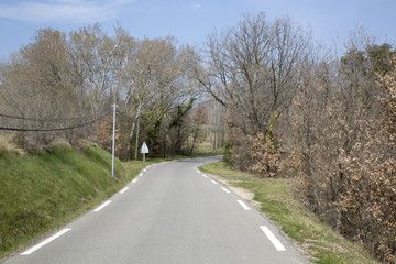 Empty Road on Provence; France