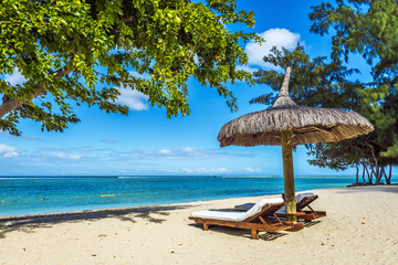 White sand beach with lounge chairs and umbrella in Mauritius Is