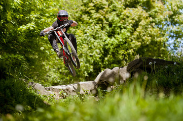 Mountainbiker rides in sunny forest