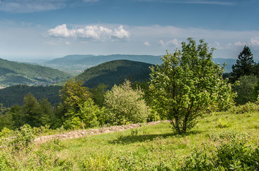 Beskidy © Dariusz Pokus