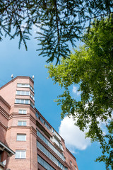 Fototapete bei efototapeten.de bestellen   