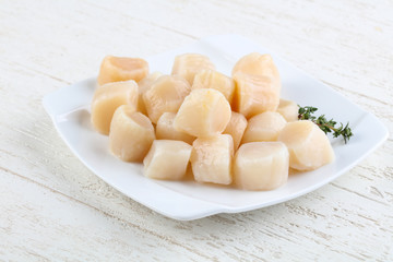 Raw scallops