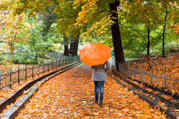 Young woman with umbrella in beautiful autumn park.