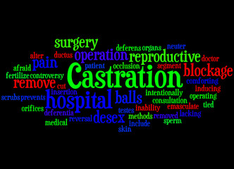 Castration, word cloud concept 3