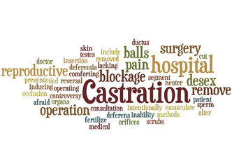 Castration, word cloud concept 4