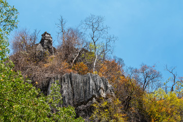 limestone mountains and tree up on rock,  cliff limestone