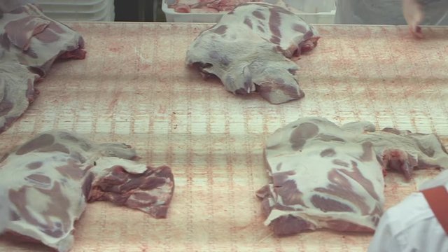 Processing line at the meat factory. Workers wearing stab protection gloves cut off the fat from pork meat using special hand knifes.