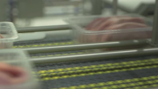 Sorting escalope boxes on a conveyor belt.