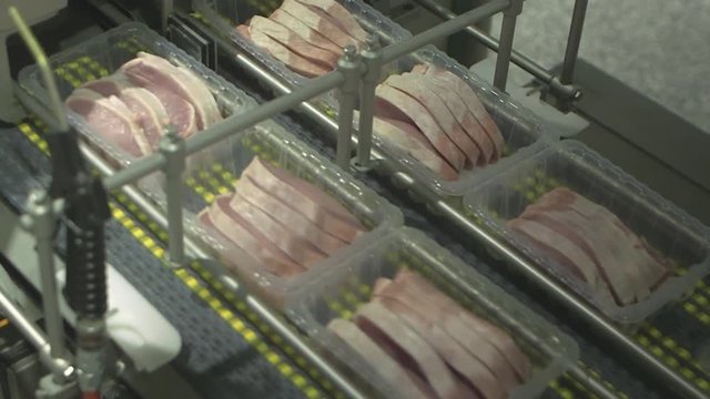 Sorting escalope boxes on a conveyor belt.