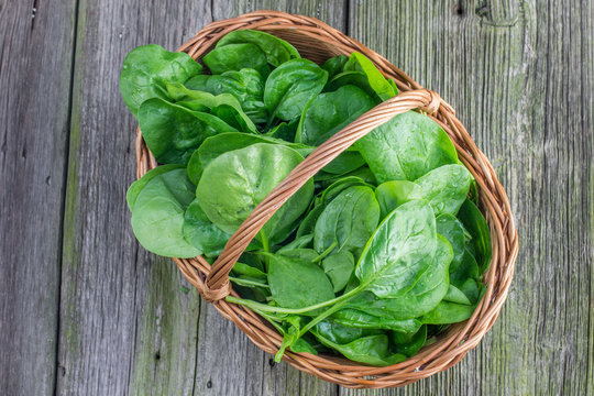 Top View on a Fresh Spinach leaves in a wicker basket