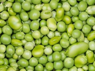 Freshly shelled peas and broad beans.