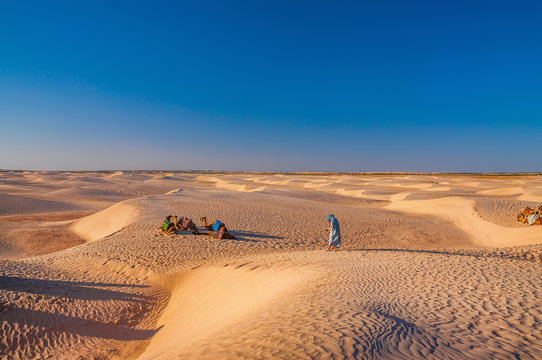 People and camels in Sahara desert, Tunisia, North Africa