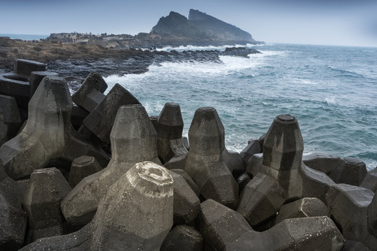 Tetrapode at the coastline.