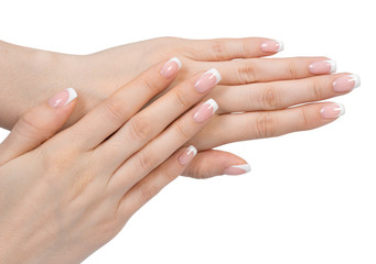 Beautiful female hand