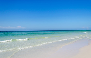 Fototapeta na wymiar Seascape of a beautiful pristine beach