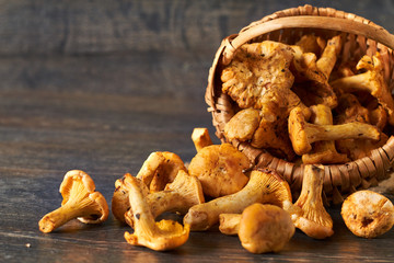 Vintage basket of chanterelles mushrooms from forest on a wooden planks background - obrazy, fototapety, plakaty